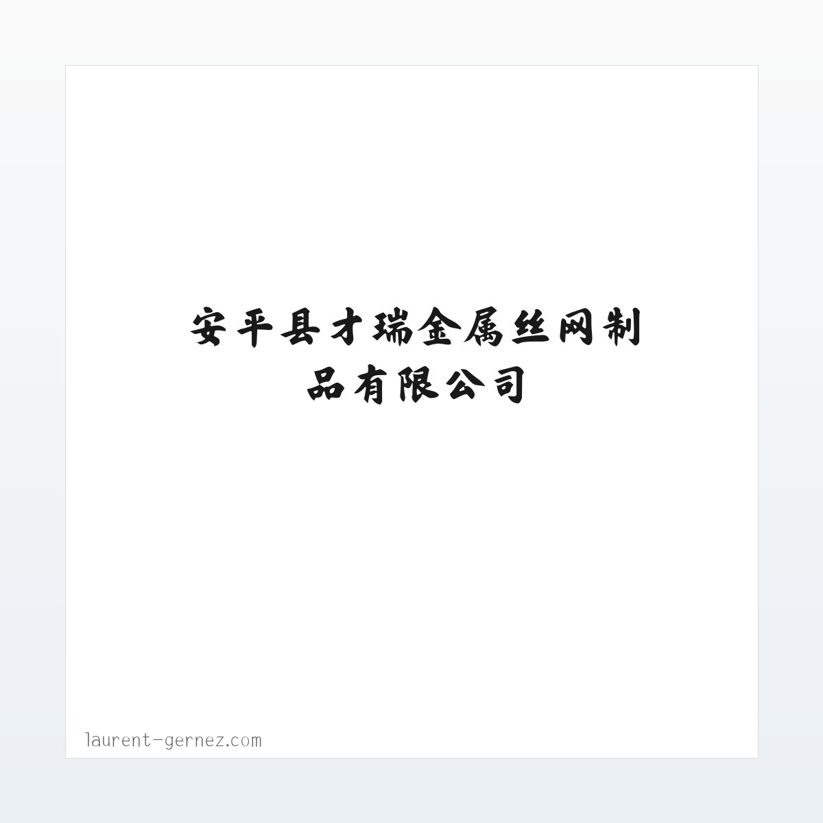 图文信息 - 安平县才瑞金属丝网制品有限公司 方图